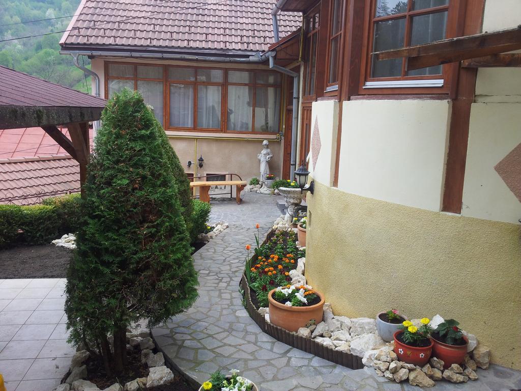 Pensiunea Kristin Brasov Room photo